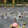 Das Schwimmen